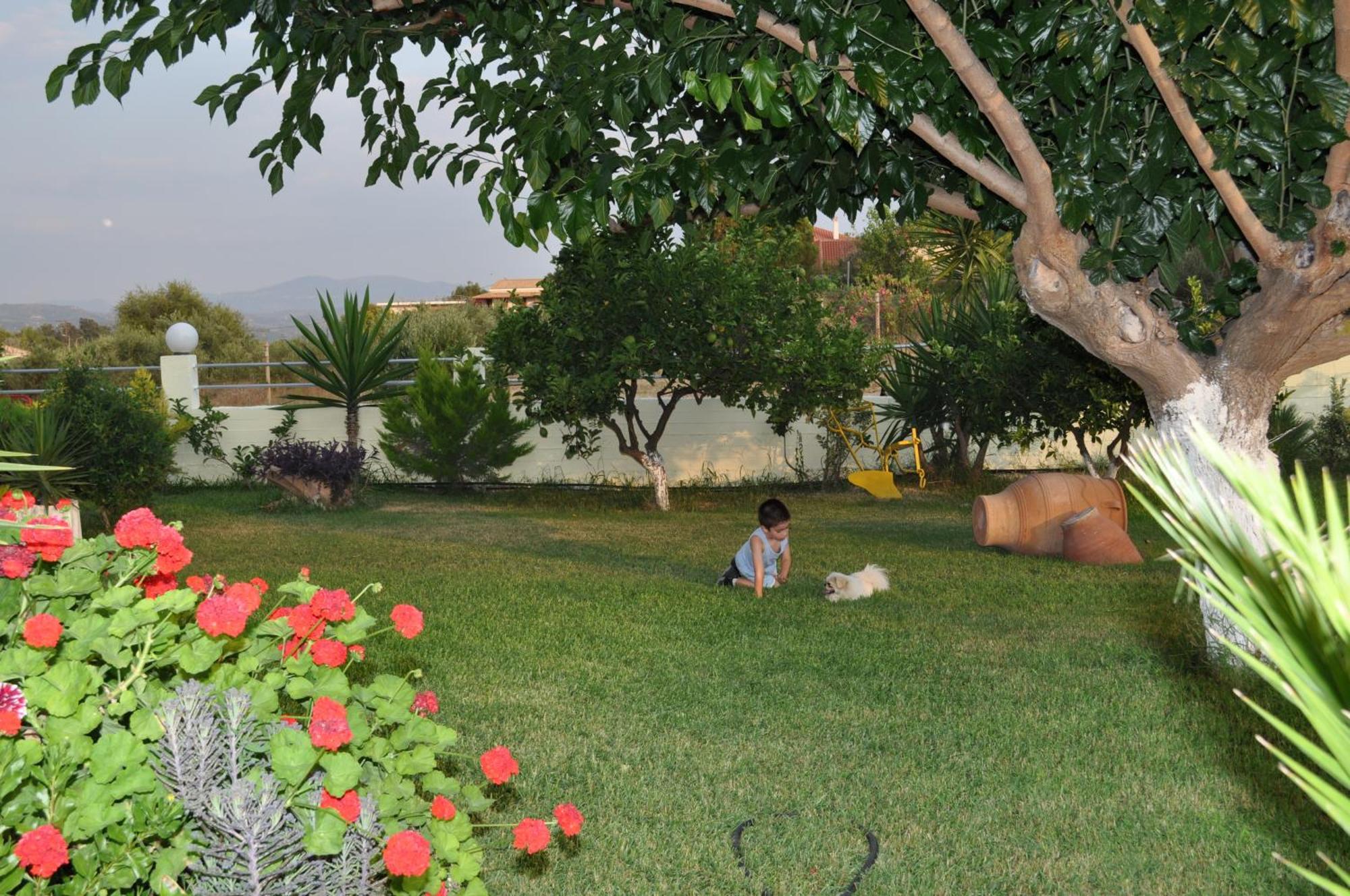 Olympion Village Studios Zaharo Dış mekan fotoğraf