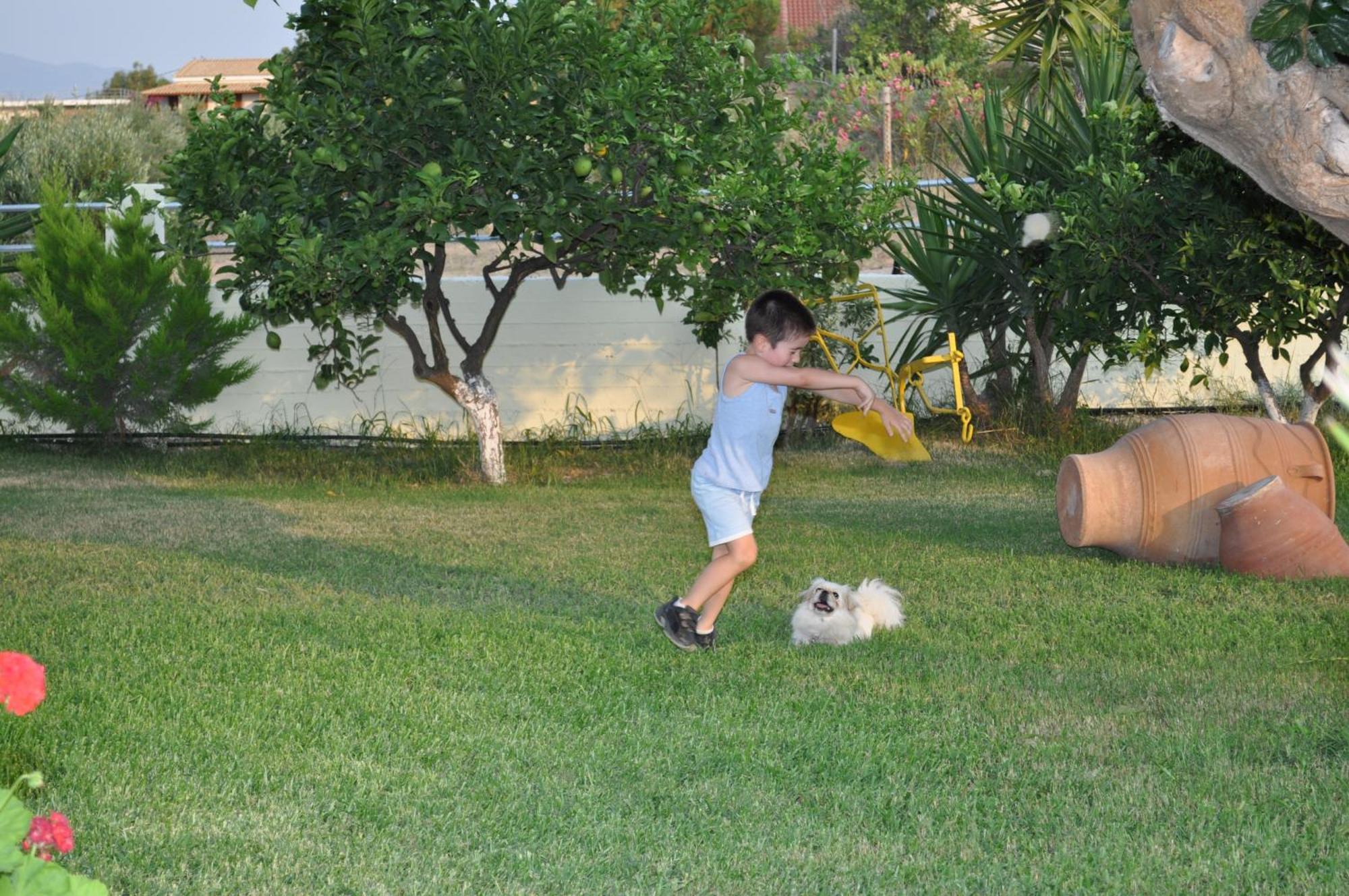 Olympion Village Studios Zaharo Dış mekan fotoğraf
